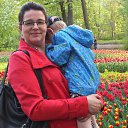  , -, 61  -  15  2016    