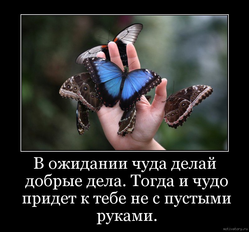  - 23  2016  18:30