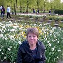  , -, 60  -  11  2016    