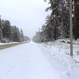 ���� �, ������, 49 ��� - ��������� 29 ���� 2016