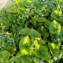 ���� Vassa, ���� - ��������� 18 ������ 2016 � ������ ������ ��������