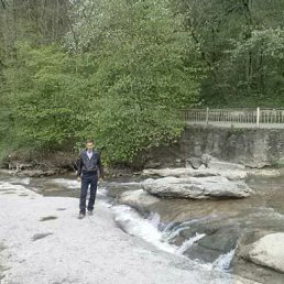 �����, ����������, 43 ����