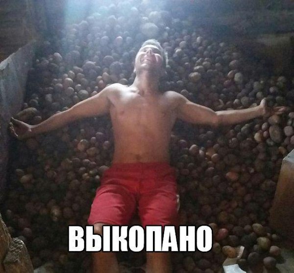   - 3  2016  18:11