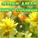 ���� ���������, ��������� - ��������� 31 ����� 2016 � ������ �������� ��������