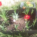  , - -  15  2016   ۻ