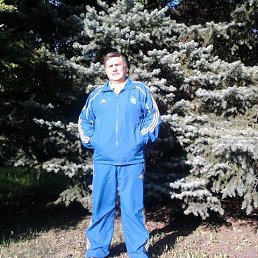 ���� �������, �������, 61 ��� - ��������� 24 ����� 2016