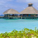 ���� �������, ������, 50 ��� - ��������� 17 ��� 2016 � ������ ������ ��������