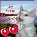 ���� �������, ������, 50 ��� - ��������� 28 ������� 2016