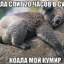 ���� �������, ������� - ��������� 9 ���� 2016 � ������ ���������