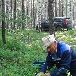 ���� �������