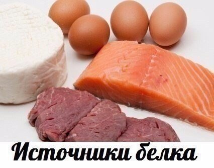 Белка источники : Забирайте на стену, чтобы не потерять. Телятина отварная К:131ккал; Б: 30г; Ж: ...