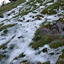 ,  -  27  2016        1  2014 