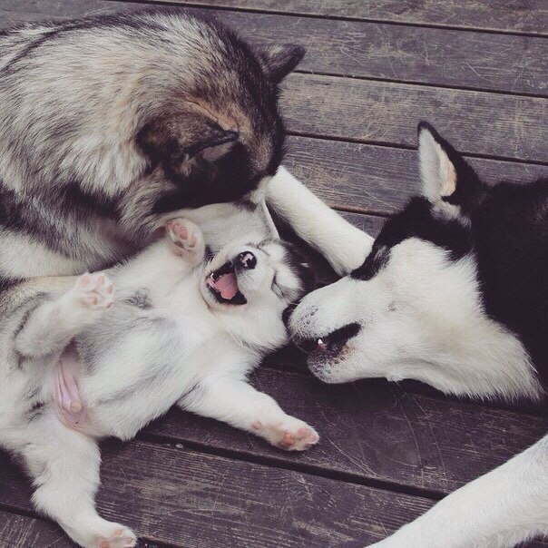 ������� � ��� ����� �� ����� ����, ��� ����� ����.