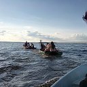 ���� ��������, �����-��������� - ��������� 16 ��� 2016 � ������ ������ ��������
