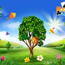 ���� Ostin, ������-��-����, 35 ��� - ��������� 20 ��� 2016 � ������ �������� �������-�������