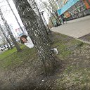 ���� ��������, ��������� - ��������� 26 ������ 2016 � ������ ������ ��������