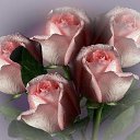 ���� �������, �����, 77 ��� - ��������� 20 ����� 2016 � ������ ������ ��������