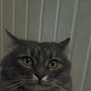 ���� �����, ���������, 50 ��� - ��������� 15 ����� 2016 � ������ ���� ����������