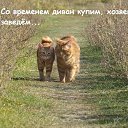 ���� Alekcandr, ������ - ��������� 20 ��� 2016 � ������ ���� ����������