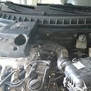 ���� �������, ��������, 42 ���� - ��������� 28 ���� 2016 � ������ ������ ��������