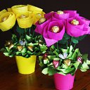 ���� ������, �����, 36 ��� - ��������� 25 ���� 2016 � ������ ����������