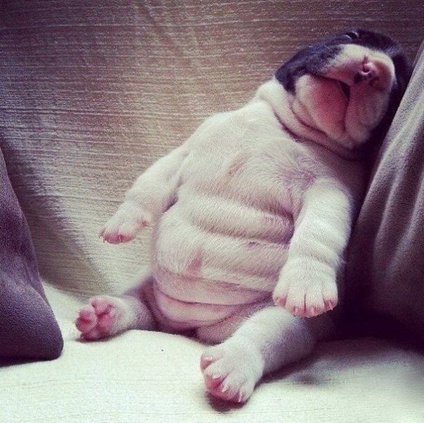 10 ������, ������� ����� ������ ��� ������ - 6