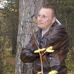 ���� �������, �����������, 41 ��� - ��������� 16 ������� 2016