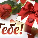 ���� ����, �������� - ��������� 5 ������ 2016 � ������ �������� ��������
