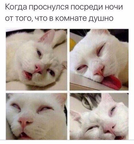   - 25  2016  05:45
