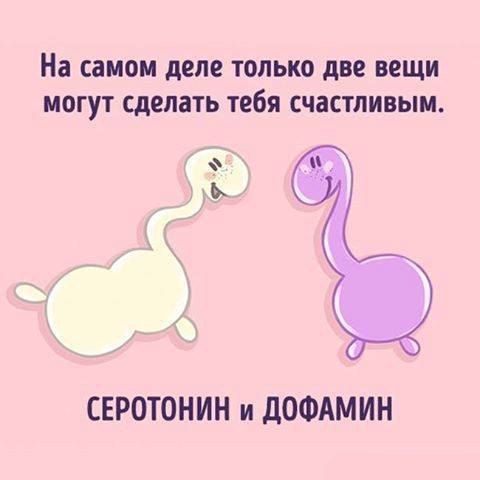    - 8  2016  08:16