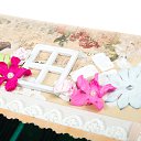  , , 38  -  17  2016   )