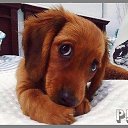 ���� ������, ������, 58 ��� - ��������� 18 ������� 2016 � ������ ������ ��������