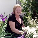 ���� �������, ����������, 61 ��� - ��������� 3 ������� 2016 � ������ ���� ����������