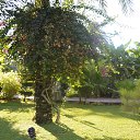 ���� ����, �������, 50 ��� - ��������� 6 ������ 2016 � ������ ���� ����������