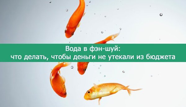 Вода в фэн-шуй: что делать, чтобы деньги не утекали из бюджета.Фэн-шуй — это восточная философия, ...