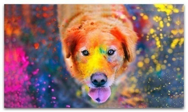 �� ���� ������ ���� ���. ������� �� �������� 