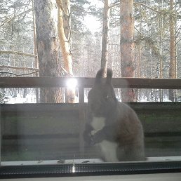 ���� ������, ������, 47 ��� - ��������� 10 ������ 2016