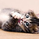 ���� �����, �����, 53 ���� - ��������� 7 ������ 2016 � ������ ���� ����������