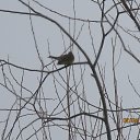 ���� ����������, ������, 58 ��� - ��������� 4 ������ 2016 � ������ �������