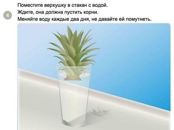 ��� ��������� ������ � �������� �������� - 3