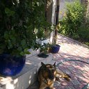 ���� �������, ������, 68 ��� - ��������� 27 ����� 2016 � ������ ���� ���� ������