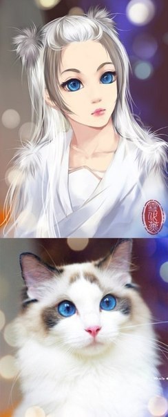   - 6