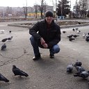 ���� ����, ������ ����, 41 ��� - ��������� 15 ������� 2016 � ������ ���� ����������