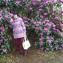 ���� �������, ����� - ��������� 31 ��� 2016 � ������ ��������� 2016�