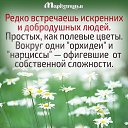 ���� �����, �����������, 56 ��� - ��������� 30 ���� 2016 � ������ ������ ��������