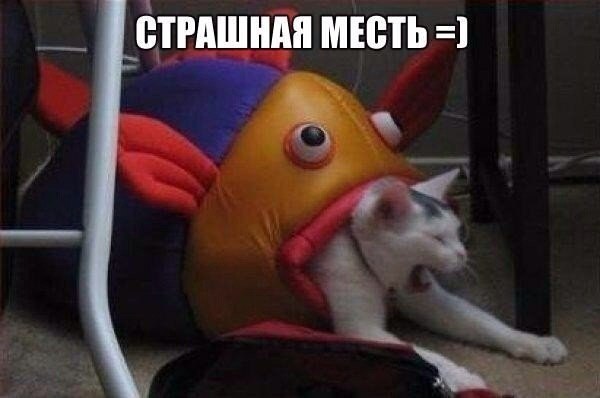 ������ ������������ - 28 ����� 2016 � 09:01