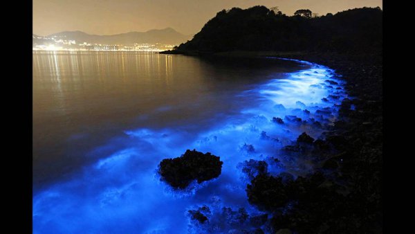 ����� ���� ����� -�����!!! - 4