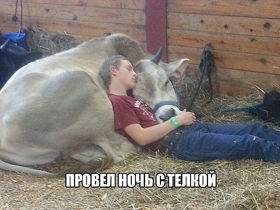 �������� �������� - 6 �������� 2016 � 23:00