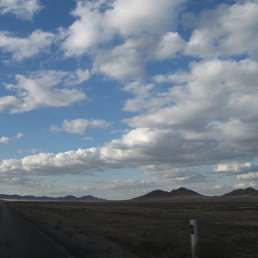 ������, ������, 49 ���