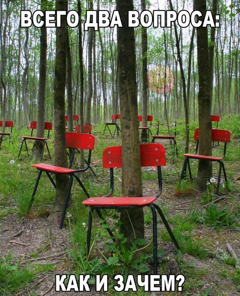    :D - 17  2016  10:08